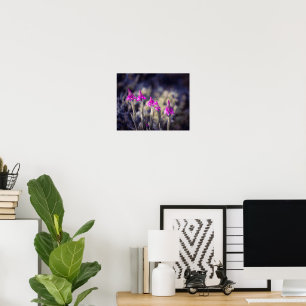 Poster Orquídeas Piramidais Selvagens em Malta