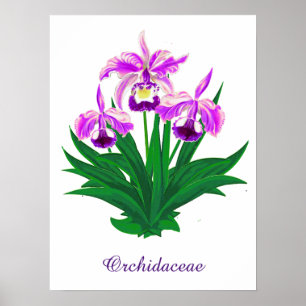 Poster Orquídeas Selvagens - Orquídeas Roxas Leves e Folh