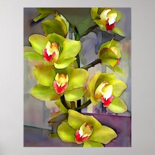 Póster Orquídeas verdes do Cymbidium