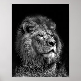 Poster Orud Young Lion