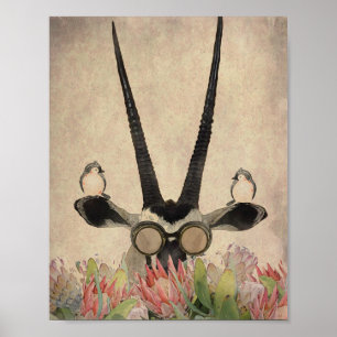 Poster Oryx atrás das flores do Protea