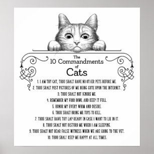 Poster Os 10 Mandamentos de Gatos Engraçados