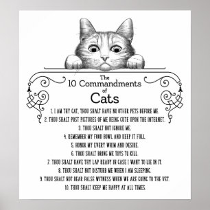 Poster Os 10 Mandamentos de Gatos Engraçados