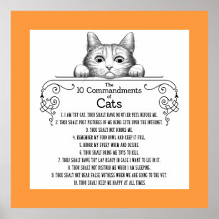 Poster Os 10 Mandamentos de Gatos Engraçados