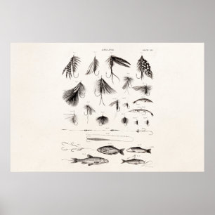Poster Os 1800s do vintage que dobram a pesca com mosca