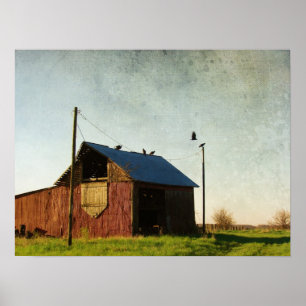 Póster Os Abutres e o Barão