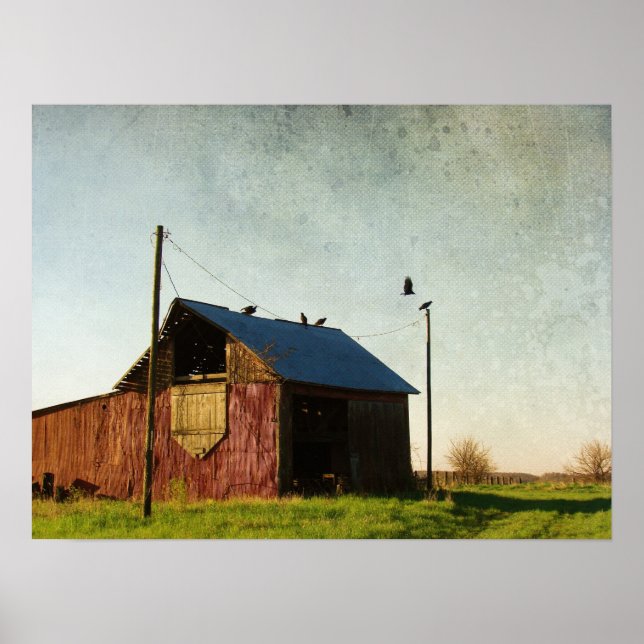 Póster Os Abutres e o Barão (Frente)