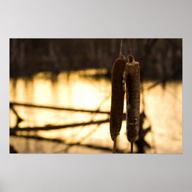 Poster Os Amantes (Frente)