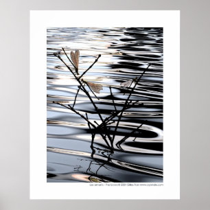 Póster Os amantes - amants de Les