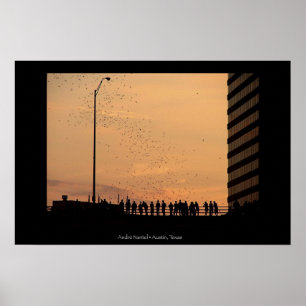 Poster Os bastões de Austin