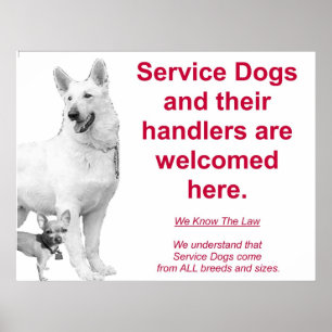 Poster Os cães do serviço são bem-vindos