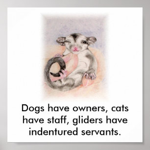 Póster Os cães têm donos, os gatos têm funcionarios, o pl