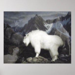 Póster Os carneiros & as cabras (estilo da montanha)