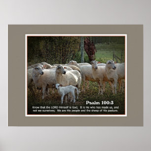 Póster Os carneiros de seu PasturewScripture