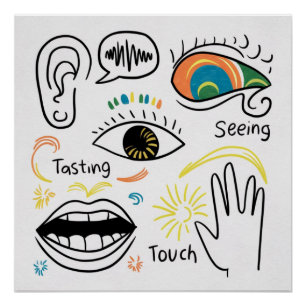 Póster Os Cinco Sentidos