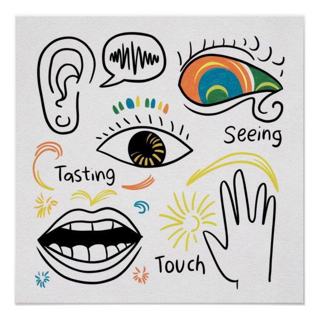 Póster Os Cinco Sentidos (Frente)