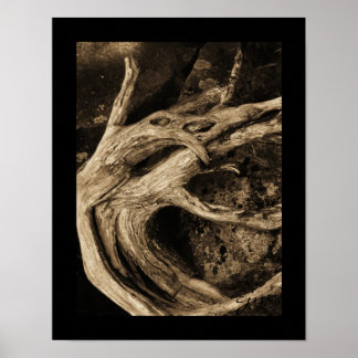 Póster Os Dançarinos