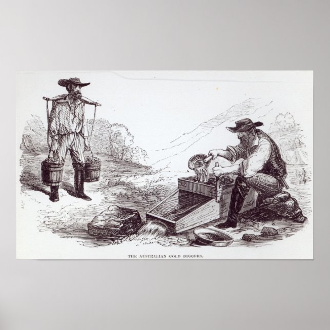 Póster Os Dourados Diggers australianos (Frente)