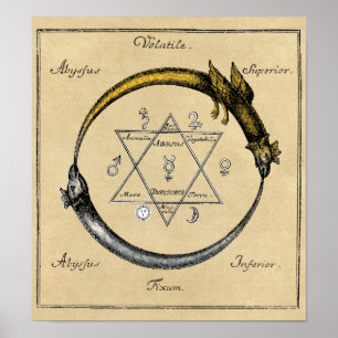 Póster Os dragões Ouroboros do local