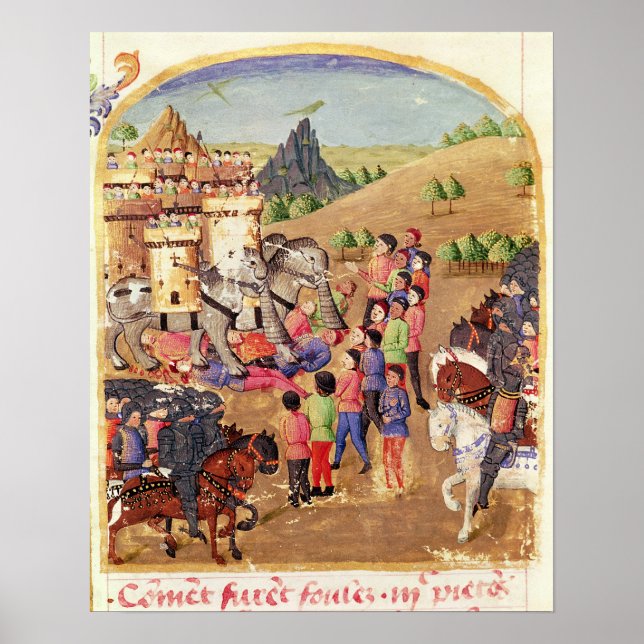 Póster Os Elefantes da Guerra (Frente)