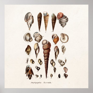 Poster Os escudos do mar do vintage personalizaram o eixo