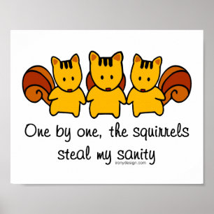 Póster Os esquilos roubam minha sanidade