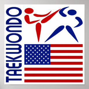Póster Os Estados Unidos de Taekwondo