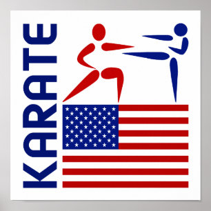 Póster Os Estados Unidos do karaté