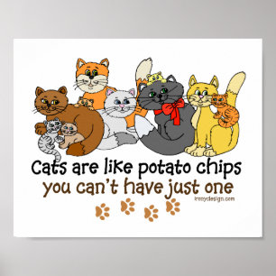 Poster Os gatos são como microplaquetas de batata
