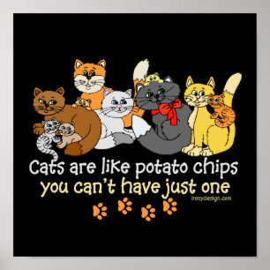Poster Os gatos são como microplaquetas de batata