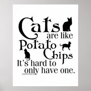 Poster Os gatos são como microplaquetas de batata…