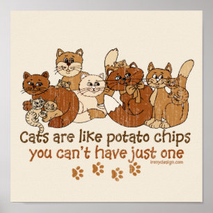 Poster Os gatos são como microplaquetas de batata