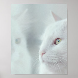 Poster Os Gatos São Os Melhores 94