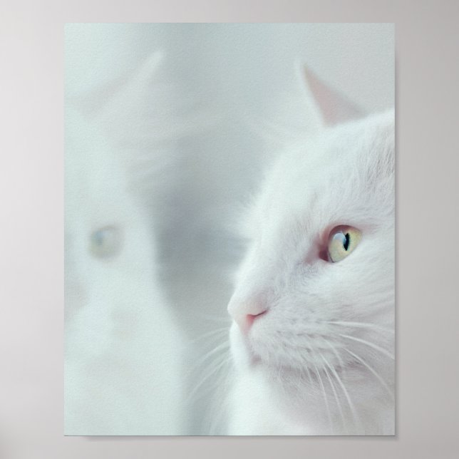 Poster Os Gatos São Os Melhores 94 (Frente)