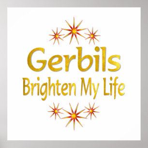 Póster Os Gerbils iluminam minha vida