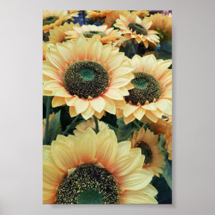 Poster Os girassóis amarelos me deixam feliz