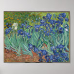 Poster Os irlandeses de Vincent Van Gogh.<br><div class="desc">"Irises" é uma de uma série de pinturas,  que Vincent Van Gogh produziu,  enquanto no asilo do Santo Paul-de-Mausole,  em Santo-Rémy-de-Provence,  França,  na última antes de sua morte em 1890. Agora está abrigado no J. Paul Getty Musuem,  Los Angeles,  Estados Unidos.</div>