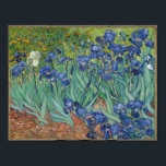 Poster Os irlandeses de Vincent Van Gogh.<br><div class="desc">"Irises" é uma de uma série de pinturas,  que Vincent Van Gogh produziu,  enquanto no asilo do Santo Paul-de-Mausole,  em Santo-Rémy-de-Provence,  França,  na última antes de sua morte em 1890. Agora está abrigado no J. Paul Getty Musuem,  Los Angeles,  Estados Unidos.</div>
