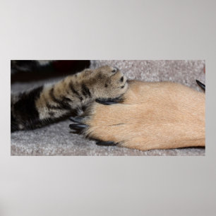 Póster Os melhores amigos para sempre de Shirley Taylor