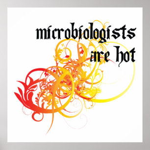 Póster Os microbiologista estão quentes
