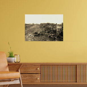 Poster Os Mortos de Antietam 1862 Guerra Civil Sepia