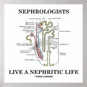 Póster Os Nephrologists vivem uma vida Nephritic