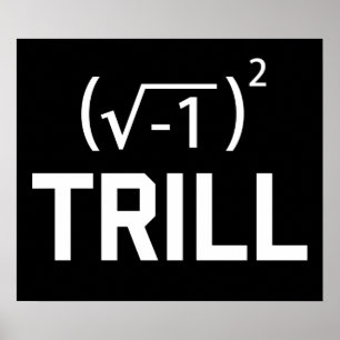 Póster Os números reais são a avaliação