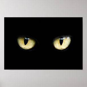 Poster Os olhos de gato