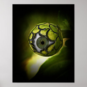 Poster Os Olhos Vão Te Ver No Jardim, Hoje À Noite!