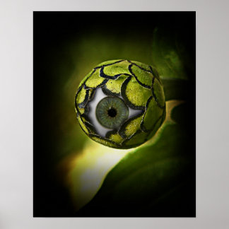 Poster Os Olhos Vão Te Ver No Jardim, Hoje À Noite!