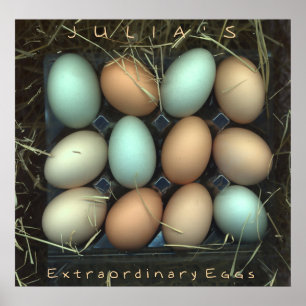 Póster Os ovos extraordinários de Julia