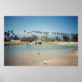 Poster Os Papais noeis na costa de Barbara