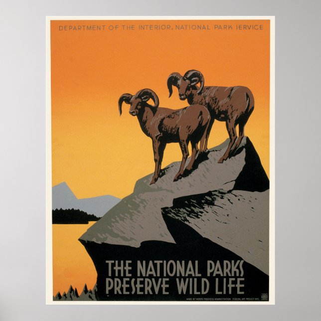 Póster Os Parques Nacionais Preservam A Vida Selvagem (Frente)