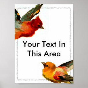 Poster Os pássaros moldam 2, seu texto nesta área